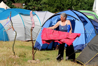 Zelte zwischen Birken