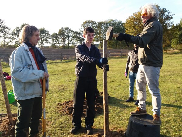 Unicorn Camp 2019 Friedensbaum